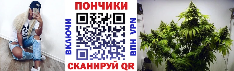 Купить закладку ГАШИШ  А ПВП  Мефедрон  Колпашево
