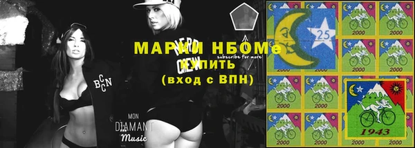 амф Гусиноозёрск