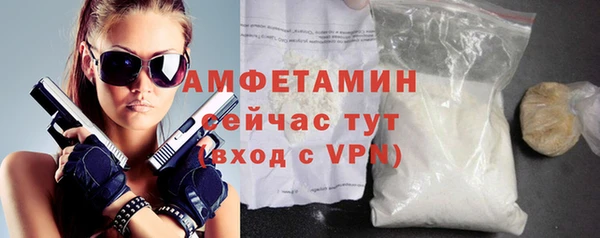 амф Гусиноозёрск