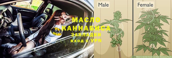 амф Гусиноозёрск