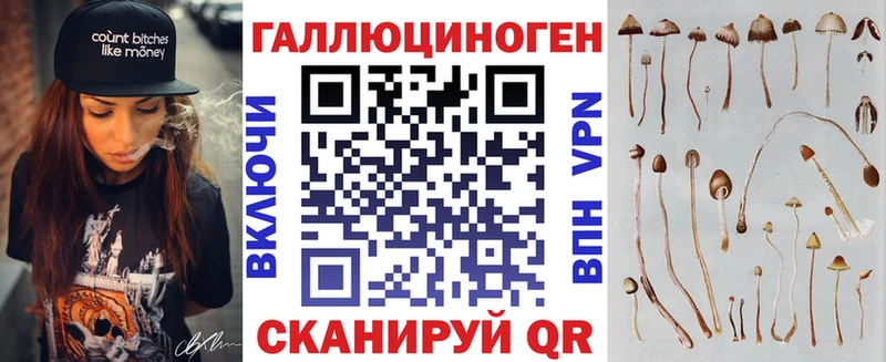 Купить где  Колпашево  Псилоцибиновые грибы Cubensis 